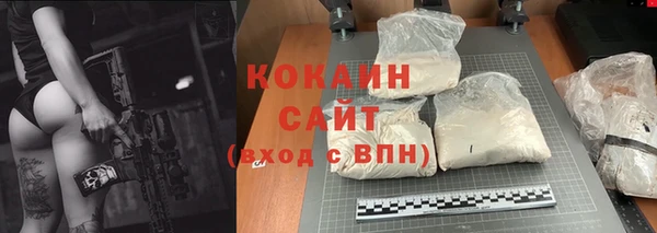 метадон Няндома