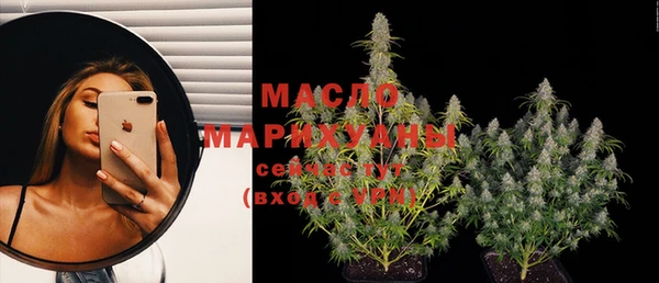 метадон Няндома