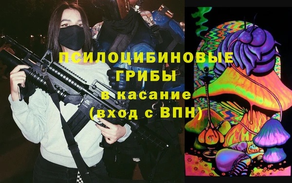 метадон Няндома