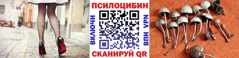 Галлюциногенные грибы Magic Shrooms  Ессентуки 