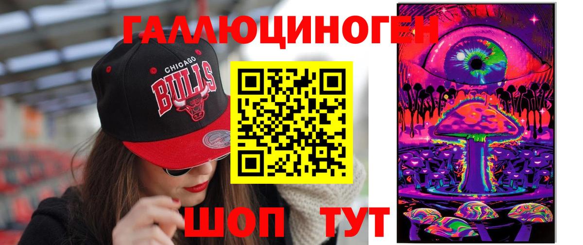 Псилоцибиновые грибы прущие грибы  Ессентуки  Галлюциногенные грибы GOLDEN TEACHER 