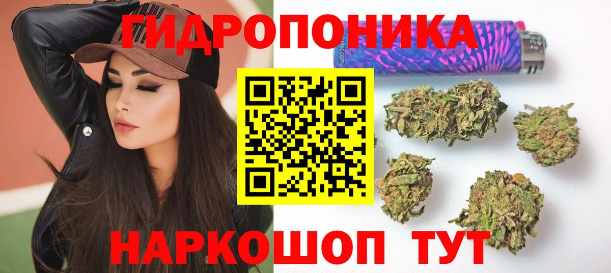 Марихуана конопля Ессентуки